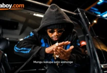 Marioo Ft BabyDaiz - Pombe II (We Live Once)