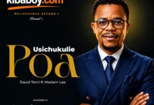David Temi Ft Madam Lee - Usichukulie Poa