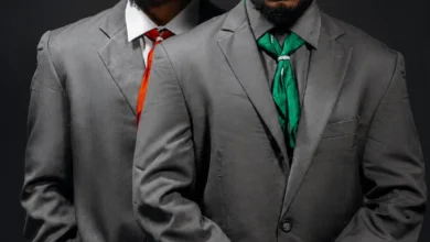 Vanillah Ft Ibraah & Mr T Touch - Mtungi
