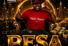 Beyond Plan - Pesa