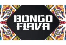 Wimbo Gani wa Bongo Flava Unakupa “Mkono wa Bahati” Kwenye Slots Nyimbo 7 Ambazo Mashabiki Wanaziamini — Namba 1 Itakushtua