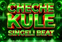 Dj Willy Mtoto Mbaya - Cheche Kule (Singeli Beat)