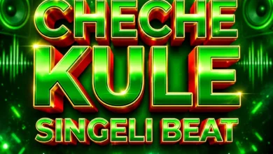 Dj Willy Mtoto Mbaya - Cheche Kule (Singeli Beat)