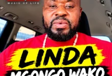 Dudu Baya (Singeli) - LINDA MGONGO WAKO (HALI NI MBAYAAA)