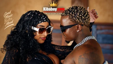 Harmonize - Kudos