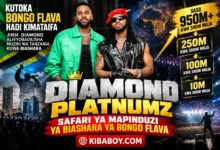 Diamond Platnumz Jinsi Alivyobadilisha Bongo Flava Kuwa Biashara ya Kimataifa