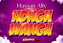 Hassan Ally - Udugu wangu