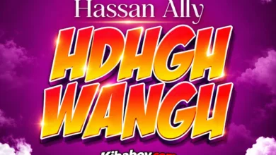 Hassan Ally - Udugu wangu