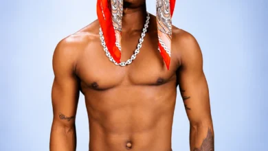 Ibraah - Kamdomo