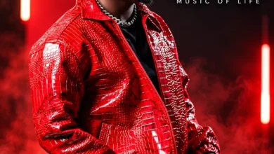 Johns BM Ft. B2k Mnyama – Puuzia